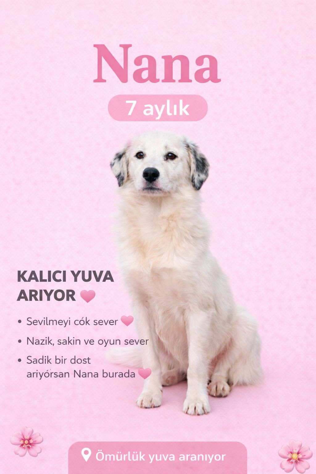 Merhaba, ben Nana 🌷