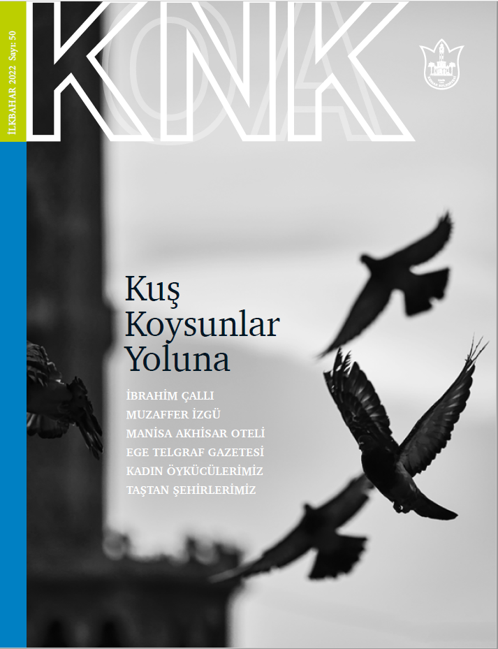 knk-dergi